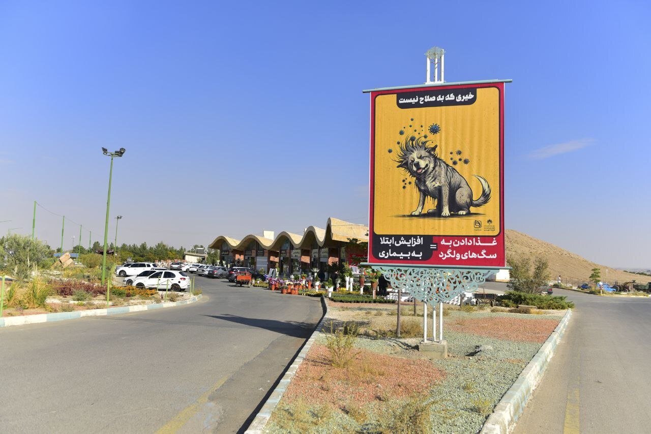 فرهنگسازی غذا ندادن به سگهای ولگرد با نصب ۵ طرح در باغ رضوان