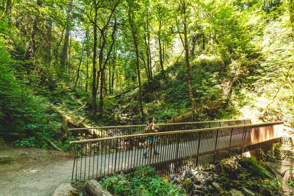 تحقق عدالت شهری با برابری دسترسی شهروندان به فضای سبز