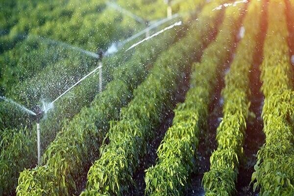 ابرپروژه سامانه گرمسیری، تحولی بزرگ در صنعت کشاورزی ایلام