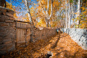 Enchanting Embrace of Autumn: Discovering Iran's Seasonal Splendor Through Nature, Poetry, and Culture