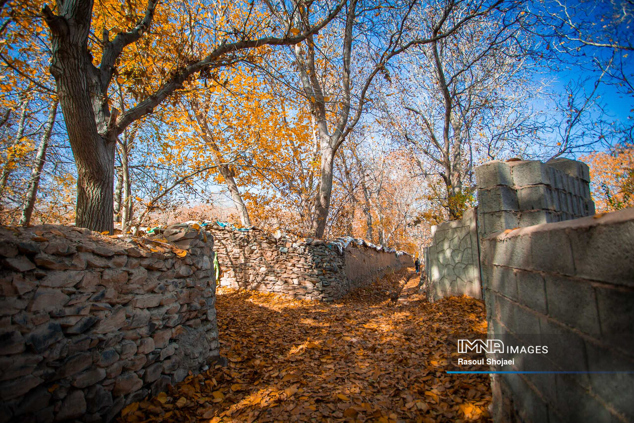 آخرین روزهای پاییز؛ اصفهان در قاب رنگ و برگ