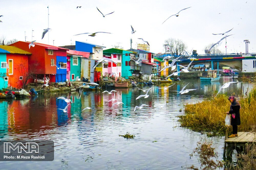 از انزلی تا ارس؛ راهکارهایی برای احیای تالابهای ایران