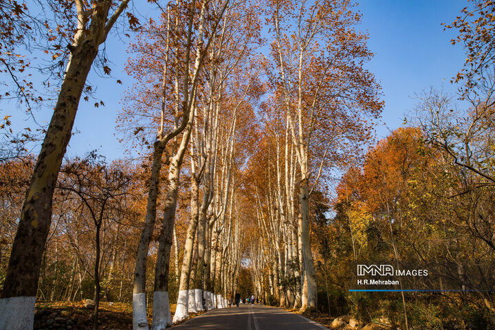 Enchantment of Sa'dabad Palace in Autumn