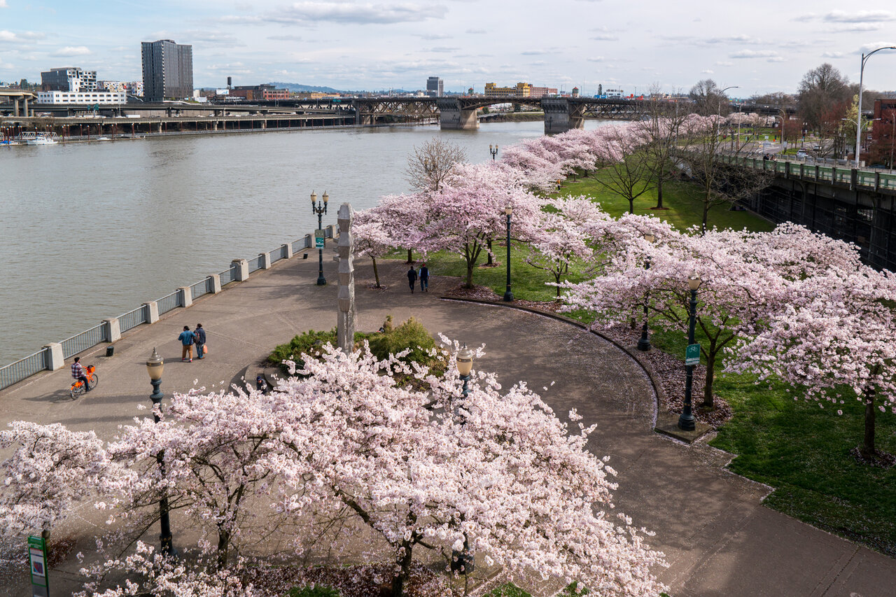 پیروزی بر خودرومحوری با انقلاب بزرگراهها در آمریکا
