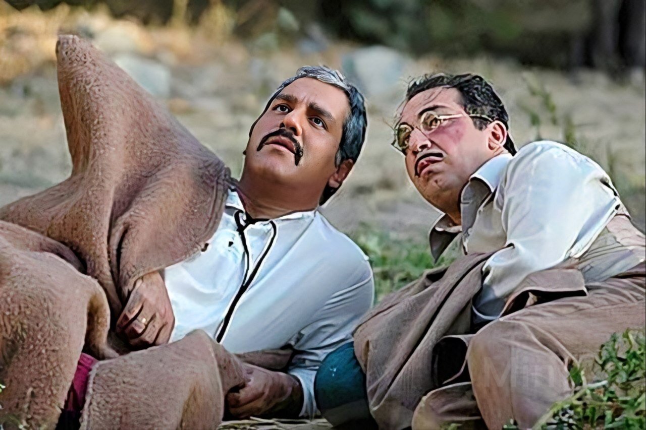 «مهران» در سریالهای «مدیری»!