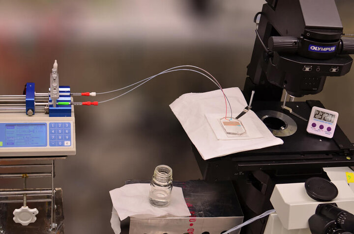 نوآوریهای میکروفلوئیدیک با دانشبنیانهای ایرانی