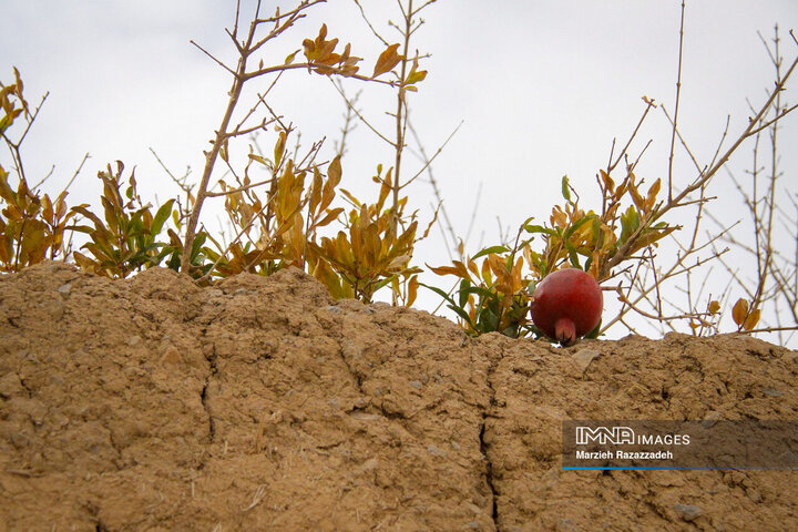 روستای قارنه