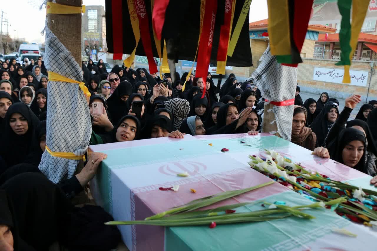 استقبال از لالههای فاطمی در ازنا+تصایر