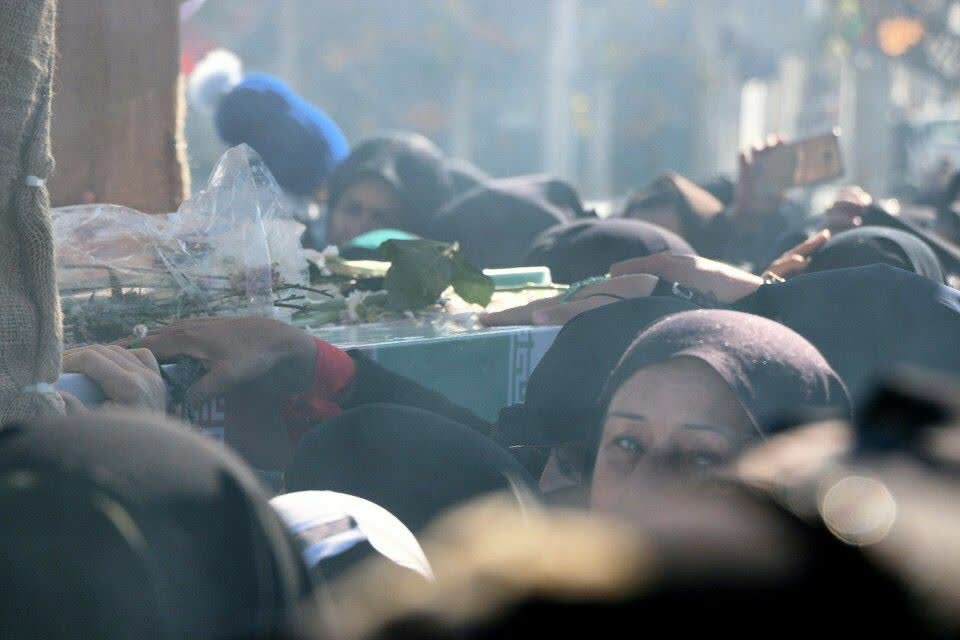 سنگ تمام مردم دورود در استقبال از لالههای فاطمی + تصاویر