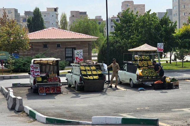 طرح بزرگ ساماندهی وانت‌بارها در زنجان اجرایی می‌شود