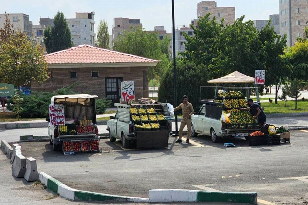 زیباسازی ورودیهای اردبیل، گامی به سوی شهری گردشگرپذیر