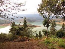 تجربه یک پاییز شگفتانگیز با قدم در جنگلهای هیرکانی مازندران