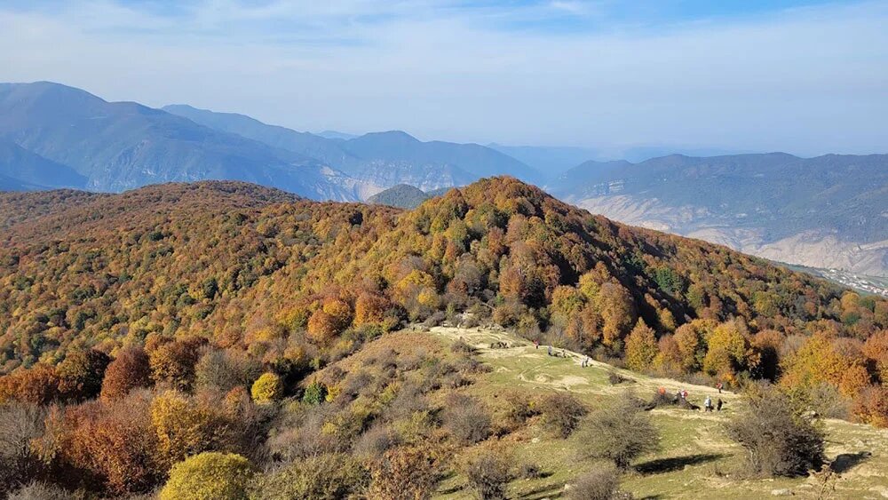 تجربه یک پاییز شگفتانگیز با قدم در جنگلهای هیرکانی مازندران