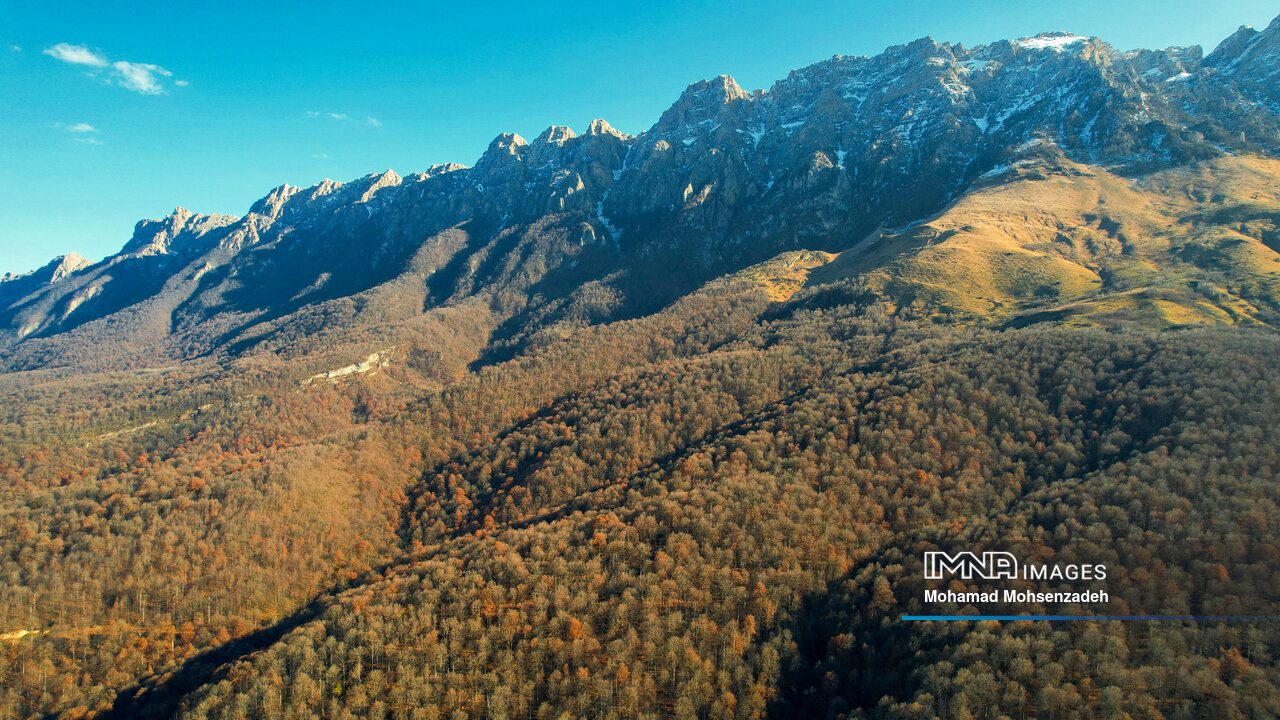 جنگلهای ۴۰ میلیون ساله هیرکانی در تقاطع حفاظت و تهدید
