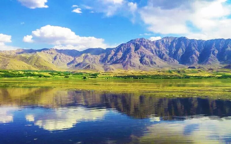 روز جهانی تالابها ۱۴۰۳ World Wetlands Day + تالابهای در معرض خطر