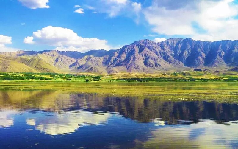 روز جهانی تالاب‌ها ۱۴۰۳ World Wetlands Day + تالاب‌های در معرض خطر