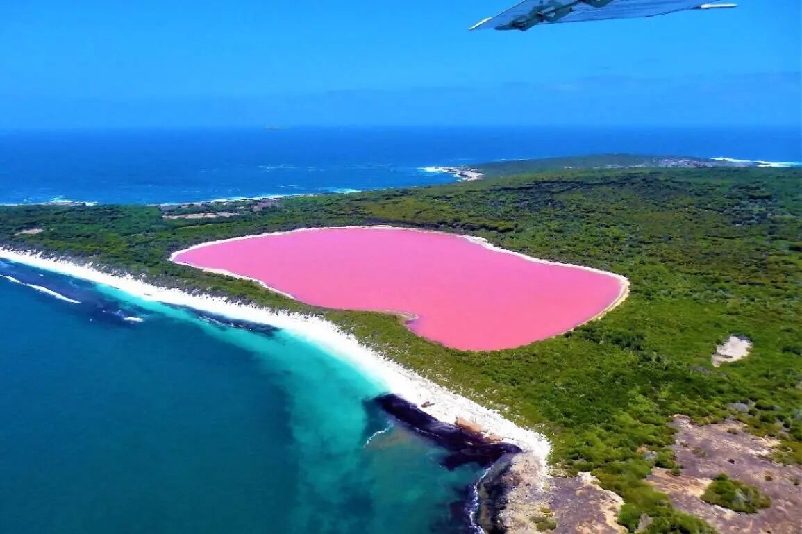 تالابها یکی از نابترین اکوسیستمهای طبیعت ایران