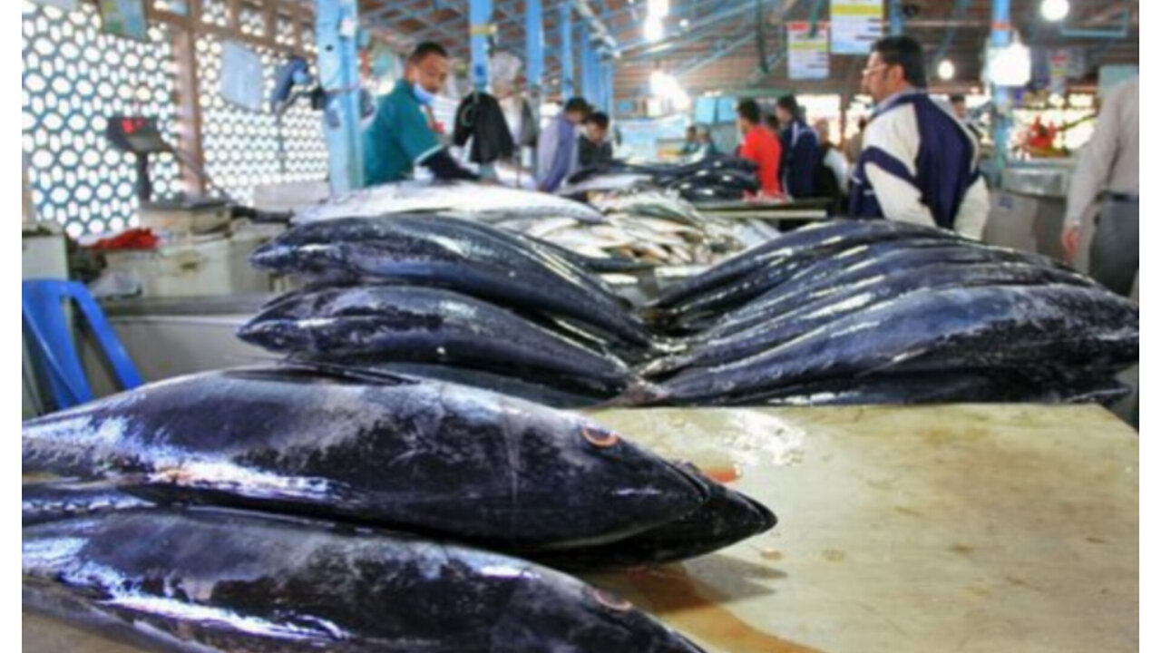 شیلات، پیشران نوین اقتصاد ایران پس از انقلاب