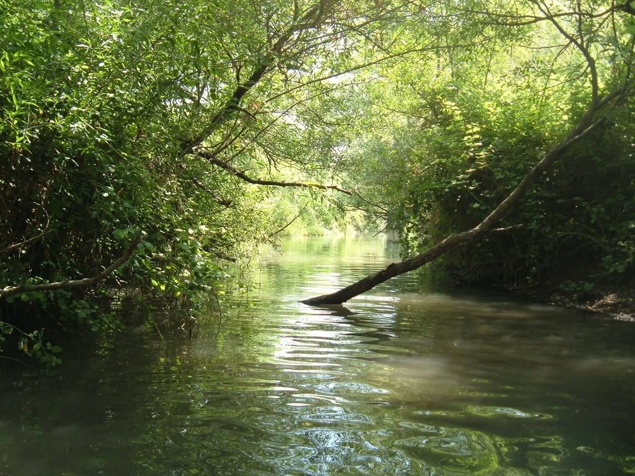 بلندیهای جولان را از این زاویه ببینید + عکس