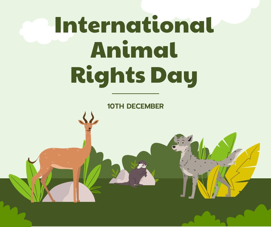 عجیبترین عکسهای طبیعت در سال ۲۰۲۴