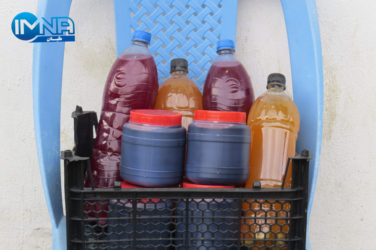 "کوتهکومه" میزبان جشنواره فراوری رب ازگیل آستارا + تصاویر