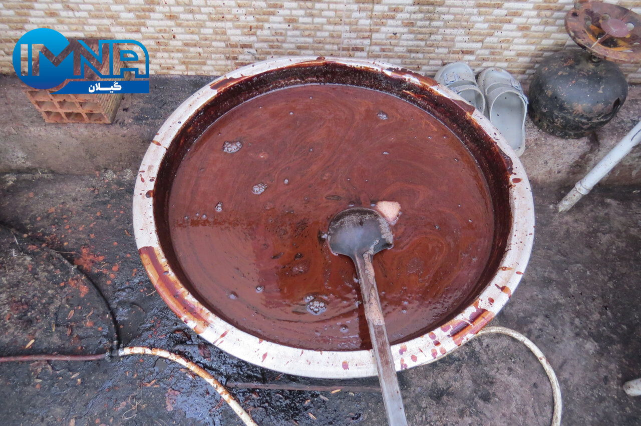 "کوتهکومه" میزبان جشنواره فراوری رب ازگیل آستارا + تصاویر