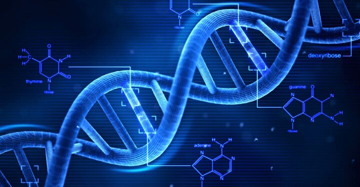 کنترل آسیب DNA در سرطان با نقش شگفت‌انگیز IMPDH2