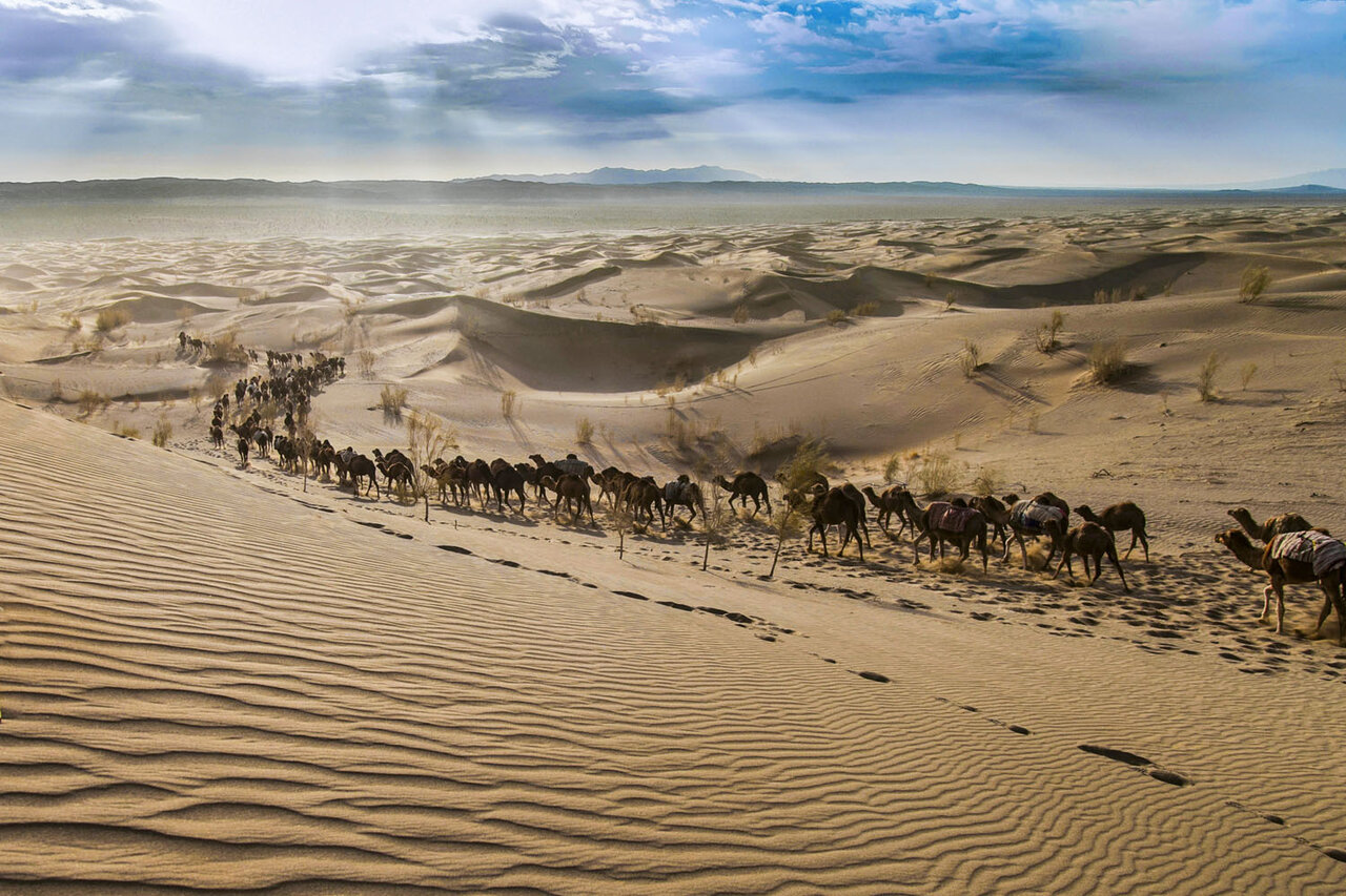 کویرنوردی با میهماننوازی کلاغها