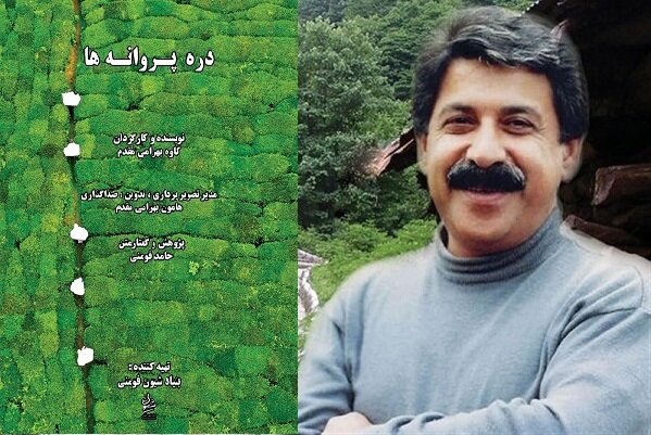 روایت رسانهایها از فیلمهای مهم جشنواره حقیقت/ حقیقت آشکار میشود