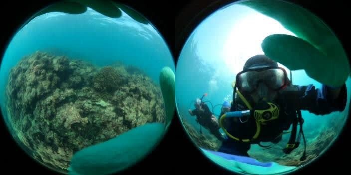 رویایی که از دریا به آسمان رسید