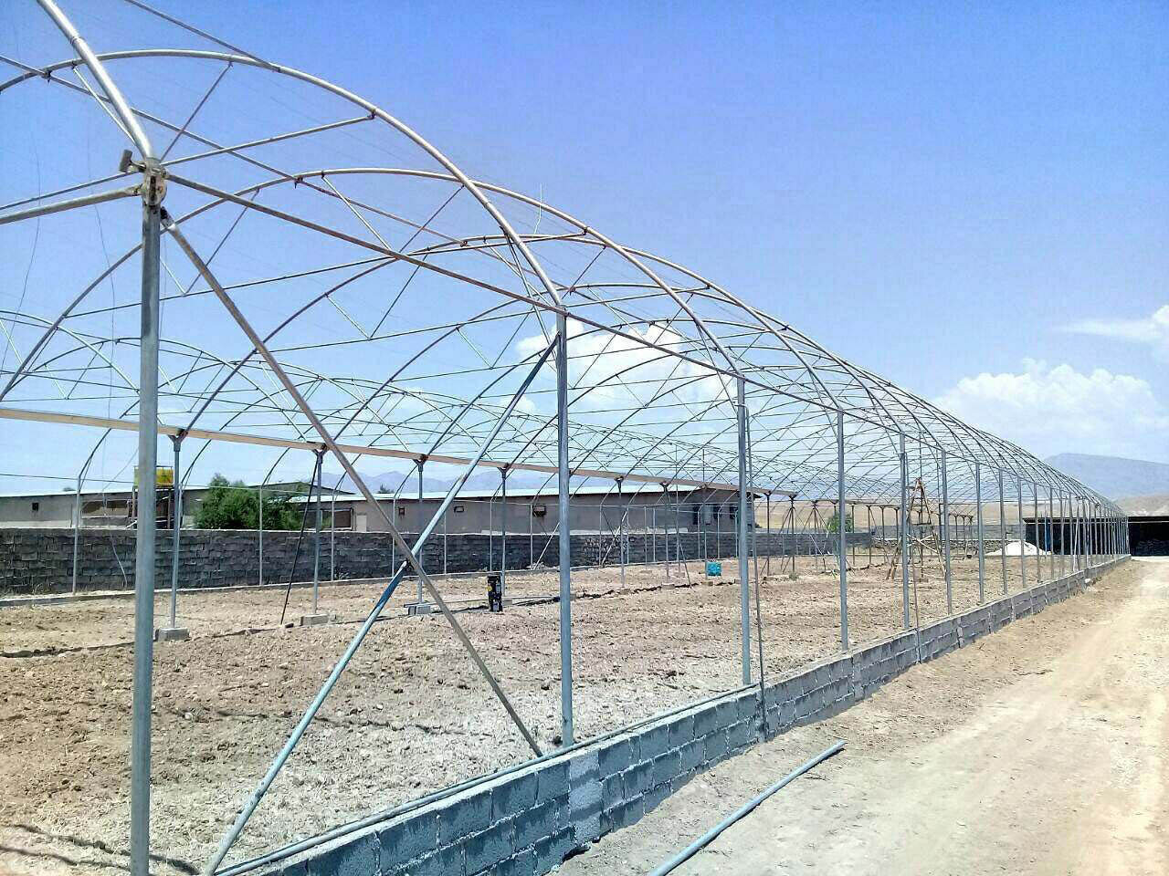 مزایای گلخانه سازی: چرا گلخانههای تونلی بهترین انتخاب هستند؟