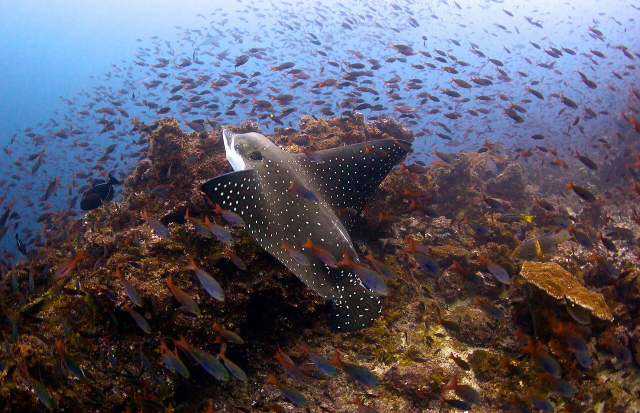 میراث ناشناخته یونسکو در کشورهای مختلف + عکس