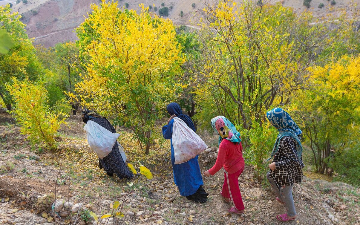 عطر خاک و عشق، داستان مادرانههای یک زن روستایی