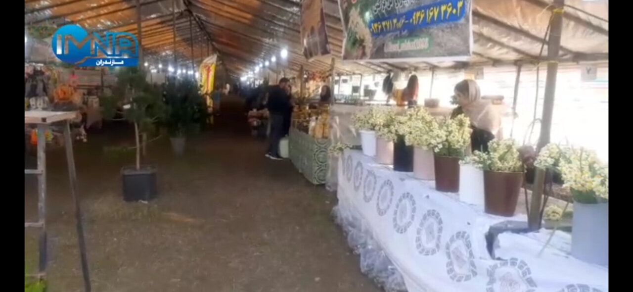 فناوریهای نوین، کلید حل مشکلات کشت گل نرگس در جویبار