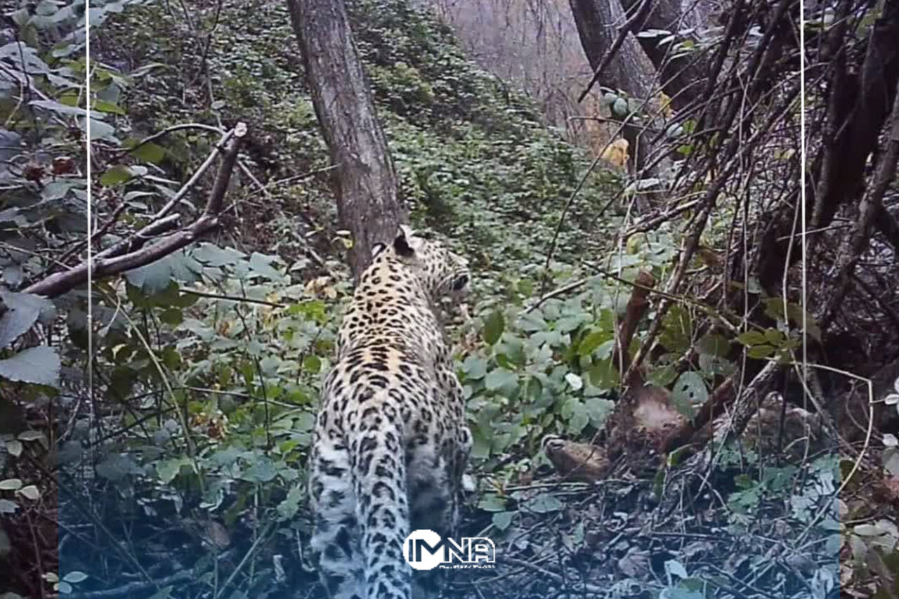 از جذب ۷۰۰ نیروی محیط زیستی تا پایش هوشمند رودخانهها و سدها با تصاویر ماهوارهای ایرانی