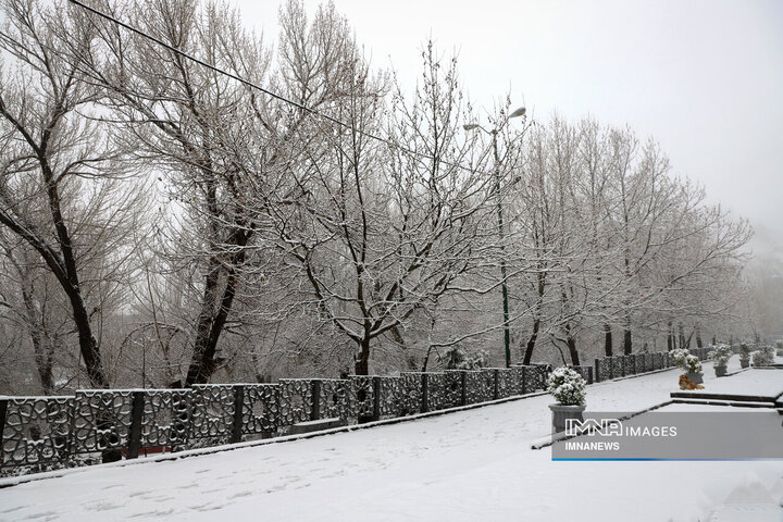 طبیعت زمستانی گنجنامه