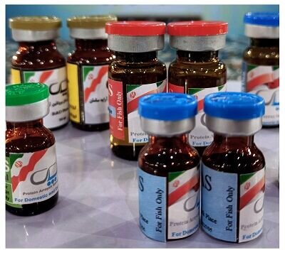 از تولید دستگاهی برای تشخیص زودهنگام بیماریها تا ساخت موتورهای حفاری در صنعت نفت