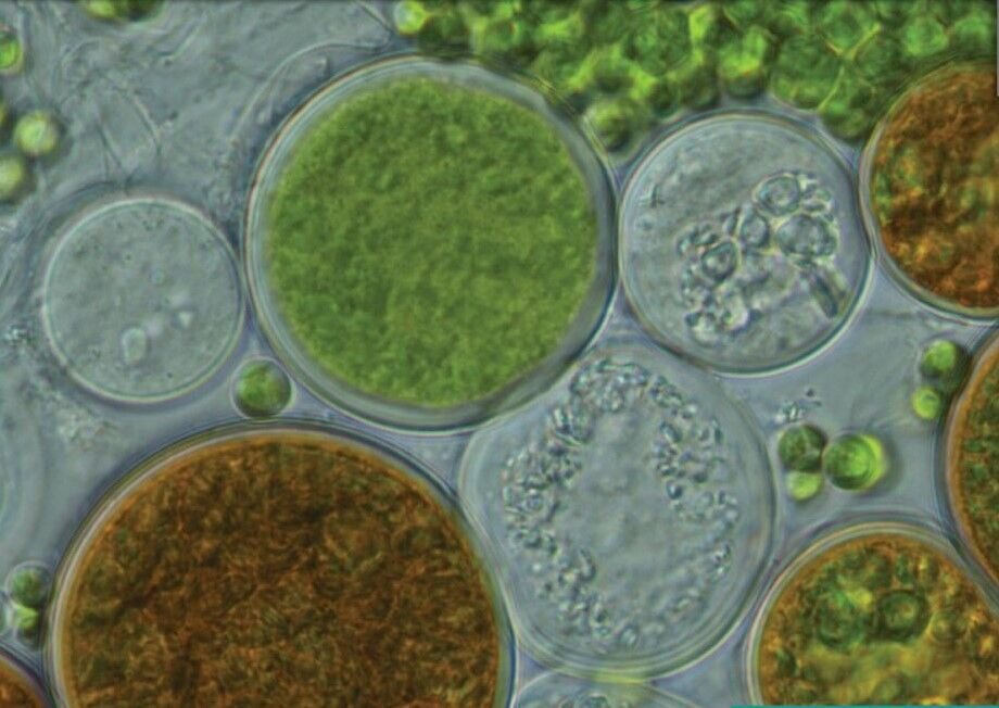 از افزایش تحویل گاز به نیروگاهها تا ساخت نخستین مرکز بازیافت هواپیما در کشور