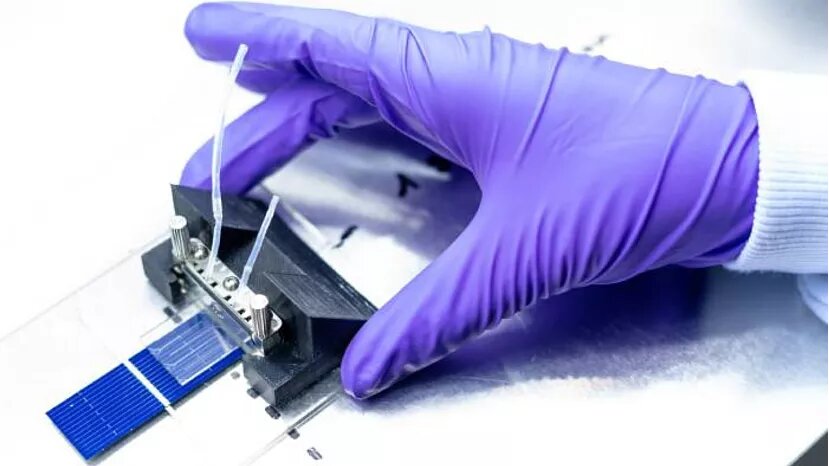 رویدادهای مثبت زیستمحیطی شهرها در ۲۰۲۴