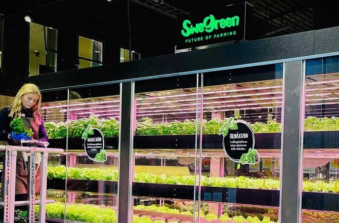 رویدادهای مثبت زیستمحیطی شهرها در ۲۰۲۴