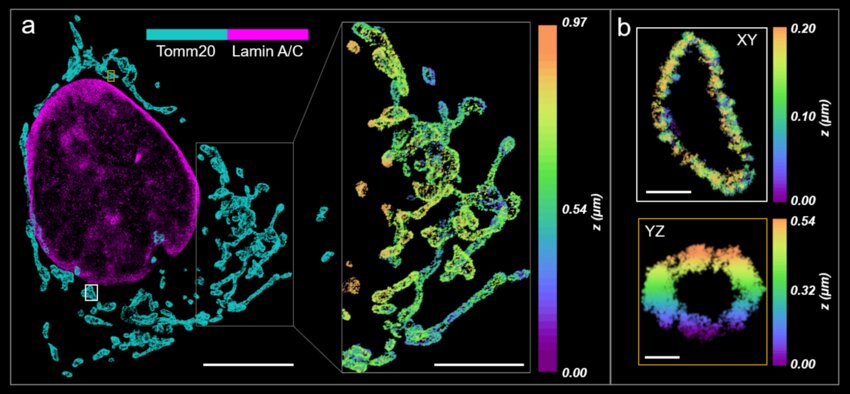 پلتفرم نوآورانه soTILT3D؛ سهبعدی سلولی