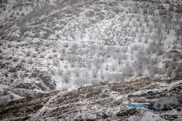 بارش اولین برف زمستانی در اصفهان