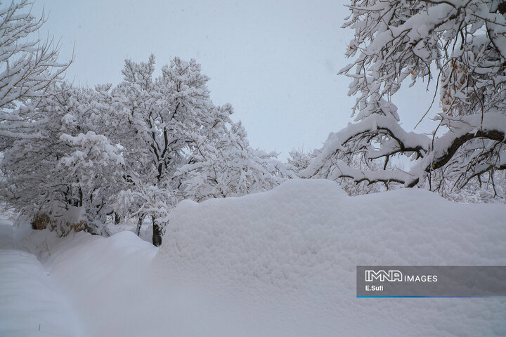 طبیعت برفی روستای «مهرآباد» اراک