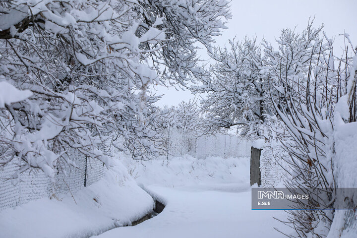 طبیعت برفی روستای «مهرآباد» اراک