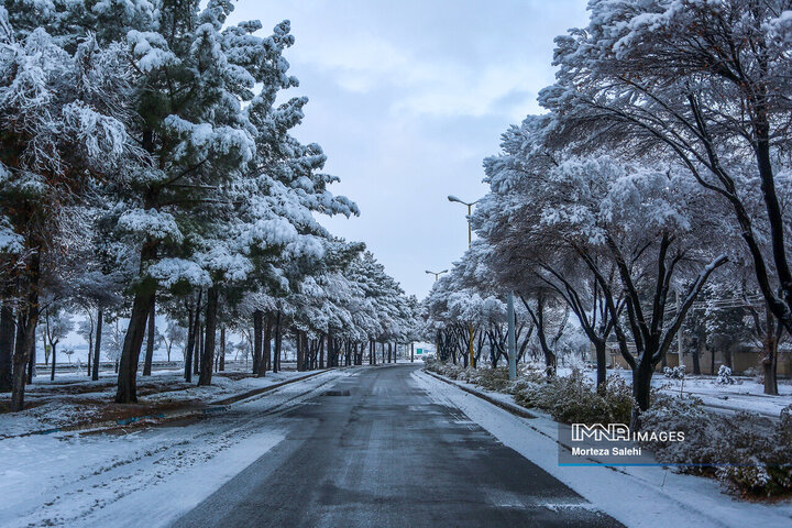 چهره برفی شهرستان مبارکه