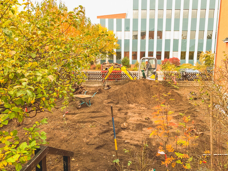 تحول شهرها با میکروجنگلهای شهری ژاپنی