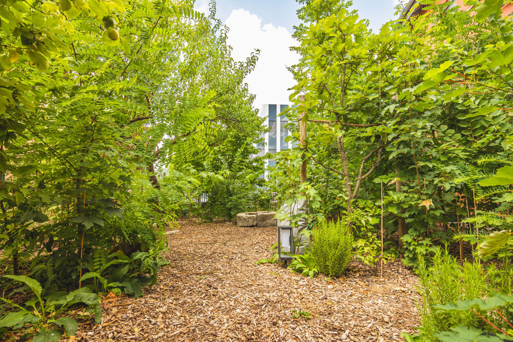 تحول شهرها با میکروجنگلهای شهری ژاپنی