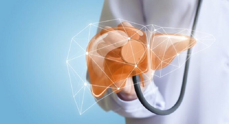 سلامت کبد در گرو سبک زندگی سالم