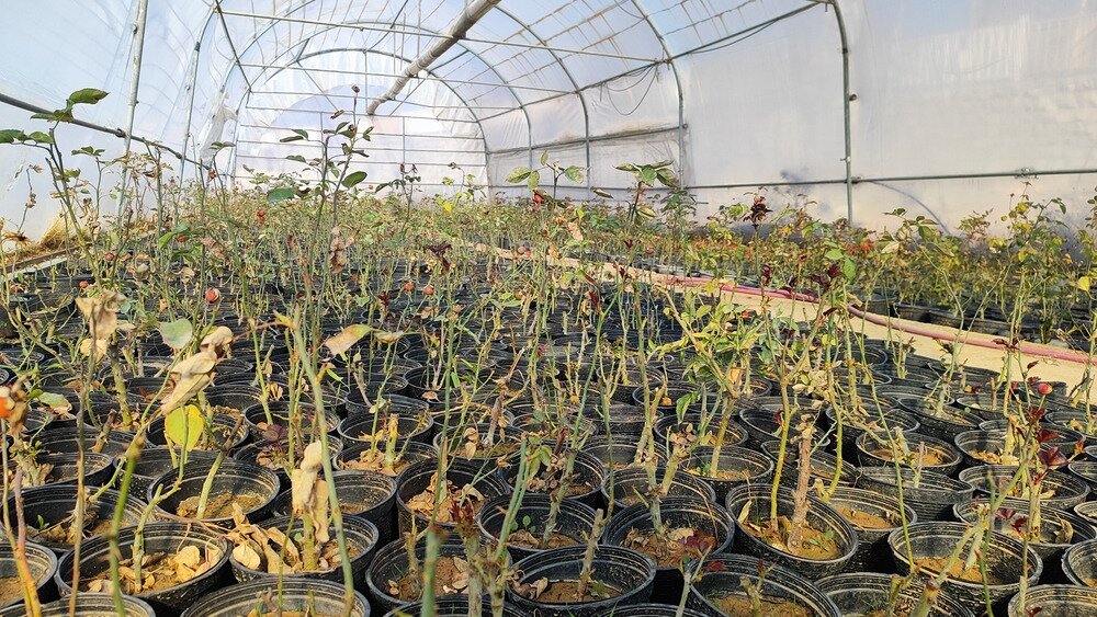 از چرایی احداث تقاطع طالقانی – کاشانی تا تجهیز شهرداری شهرکرد به ماشینآلات جدید