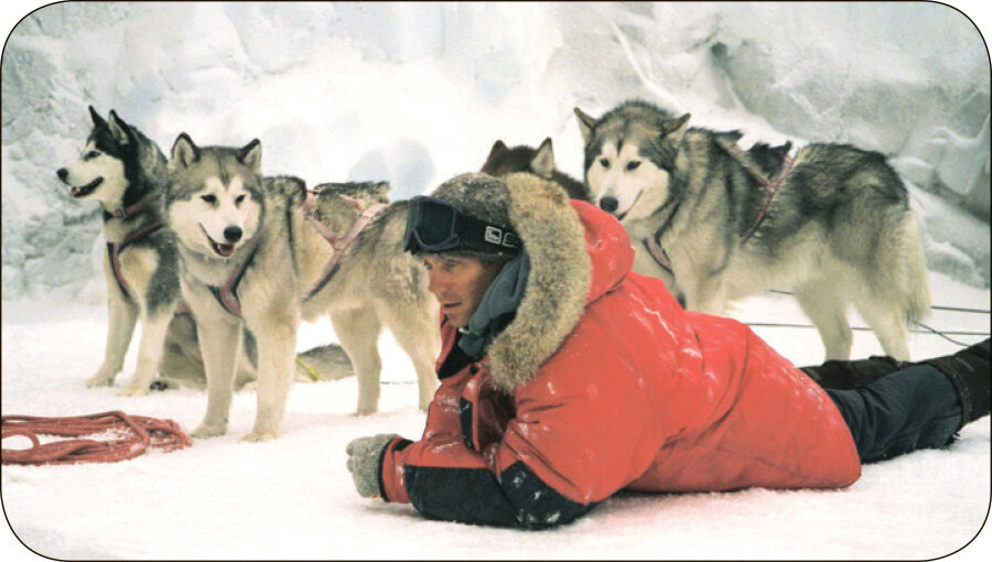 یخترین فیلمهای سینما